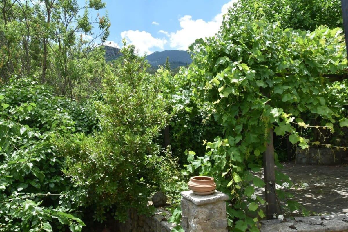 Mariolata Vintage Stone Villa - 4 Season Escape Exterior foto